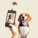 [SALE30%OFF*KIKKERLAND]Dog Treat Selfie Clip KDIG01 Kicker Land собака уход собственный .- зажим собака домашнее животное фотосъемка 