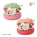 ZSA-81356R-57R[.... Sakura ma Caro n...* Sakura цветок ] весна. .... Sakura конфеты декоративный элемент reconcombre темно синий темно синий bru предварительный заказ 2027 год 1/ сверху [ отметка 5 раз ]