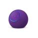 [ новый товар ]Amazon Echo Dot Max аметист 