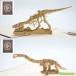 [ почтовая доставка бесплатная доставка ]WAO!POP Jurassic 3D POP UP карта tilanosauru -тактный likelatopspalasaurorofs стерео gosaurusapatosaurusp Terrano Don динозавр 