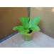  Haku носорог рассада желтый ...85(takii) 7.5cm pot 