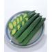  4 лист огурец рассада автомобиль комплект (takii вид рассада ) 9cm pot 