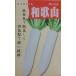  Wakayama дайкон ... . земля овощи семена .. белый дайкон 