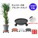  plant pot pcs planter pcs caster planter stand put pcs outdoors tray drainage saucer attaching plant pot pcs cleaning movement with casters . decorative plant LB-194 classification 60S