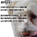 �܂₯�Ƃ郏�� �������p 10�p�b�N �֘A�摜1