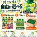 ��ؐ���100 �X���[�W�[ �J�S��  24�{ (8��ށ~3�{) 8��ނ���I�ׂ�  �~�b�N�X�W���[�X ����� �A�T�C�[ �֘A�摜1