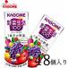 ��؃W���[�X ��ؐ���100�x���[�T���_ 200ml�~48�{ �J�S��