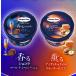 �n�[�Q���_�b�c �V���i �������Z�b�g Classy Night 2����� ���ʂ�6�Z�b�g �N���b�V�[�i�C�g Haagen-Dazs �֘A�摜4