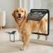 Pet Prime домашнее животное дверь москитная сетка специальный собака дверь средний большой кошка . ввод . кошка дверь установка простой магнит тип открытие и закрытие дверь c функцией блокировки домашнее животное торцевая дверь день 