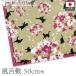  furoshiki .... маленький furoshiki 50cm угол квадратный Sakura .... хлопок хлопок eko задний праздничные обряды японская одежда мелкие вещи гобелен (42903)
