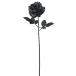  Aska (Aska)asca искусственный цветок rose черный A-39600-100