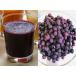 KIMONO FRUITS�z�Ⓚ�u���[�x���[�W���[�X�i�X���[�W�[�j�i�I�[�K�j�b�N�@�u���[�x���[�J�i�_�Y�g�p�j100���i�ܑ́j�~7��/�����@�L�@�u���[�x���[�y�f���̂܂܁@