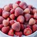 [KIMONO FRUITS] рефрижератор клубника местного производства ( Tokushima префектура производство ) 5kg (1000g×5) есть перевод B товар роза .. Frozen клубника для бизнеса 