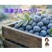 [KIMONO FRUITS] рефрижератор голубика ( Chile производство кроме того, Canada производство )3kg(1000g×3) питание стоимость. высокий голубика., полифенол . Anne to цианин . много.