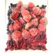 �yKIMONO FRUITS�z�I�[�K�j�b�N�Ⓚ�~�b�N�X�x���[�@3kg (1000g�~3�j�I�[�K�j�b�N�Ⓚ�X���[�x���[�@�L�@�~�b�N�X�x���[�@�����ň��S�~�b�N�X�i�@