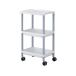 az one na screw mobile PC Cart 532×445×950mm gray MPC180HG