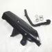 PGO оригинальный muffler ASSY G-MAX220 * бесплатная доставка *