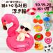 �ʂ��� 10cm 11cm 12cm 13cm 14cm 15cm 16cm 17cm 18cm 19cm 20cm ������ �t���~���S �h�[�i�c ������ ������ �ʂ��ӂ� �ʂ������ ������� ������ �A�C�h��