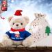���¹�͢���ʡ� Personalized Teddy Bear with Text+Photo, Personalized Bear Stuff