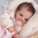 ���¹�͢���ʡ� Pinky Reborn Realistic Baby Dolls 19 Inch Lifelike Preemie Babie