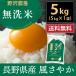 あすつく 無洗米 令和元年産 風さやか 5kg 流るる 長野県産 送料無料(沖縄は別途送料2500円(税込)) 精米 お米 るるる
ITEMPRICE