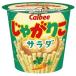 �J���r�[ ���Ⴊ�肱 �T���_ 57g�~12���b ��������
