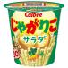 �J���r�[ ���Ⴊ�肱 �T���_ 57g�~12�� ���[�J�[ �≮�����b ��������