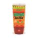 nagano tomato salsa sauce 185g×30(15×2) pcs insertion ×(2 case )l free shipping 