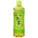 �_�����^�ɓ��� ���`������ �Β��y�蔄��p�z 600ml�y�b�g�{�g���~24�{���b ��������