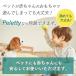 �y���b�e�B�[ ���L�X�v���[ �y�b�g�p 500ml �ɂ��� ������ Peletty ���{�� ���� �������f�_�i�g���E�� ������ ���L �֘A�摜2