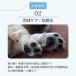 ���� �y���b�e�B�[ �� �L�p �X�L���P�A�X�v���[ �Ɩ��p �l�ߑւ��p 1L �y�b�g�ێ� �����P�A �܂₯ �ڃ��j �����P�A ���� �y���b�e�B�[�o���i �֘A�摜4