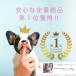 ���� �y���b�e�B�[ �� �L�p �X�L���P�A�X�v���[ �Ɩ��p �l�ߑւ��p 1L �y�b�g�ێ� �����P�A �܂₯ �ڃ��j �����P�A ���� �y���b�e�B�[�o���i �֘A�摜5