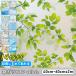  тонировка стёкол пленкой окно глаз .. сиденье стекло сиденье цветочный принт плитка mo The ik оборудование орнамент затемнение сиденье . электро- .. предотвращение УФ фильтр частный день разница . меры 