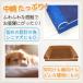 ���@�L  �􂦂�x�b�h  ������ �V�j�A�� �y�b�g�p �y�b�g�x�b�h �ӂ�ӂ�   �N�b�V����  �h�b�O�@�L���b�g �\�t�@�[ �@�t�ďH�~�@�I�[���V�[�Y�� �֘A�摜4