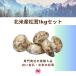  Северная Америка производство сосна .1kg комплект ( размер * открытие person оставив решение кому-то другому ). body для бизнеса .. для America * Canada прямой импорт осенний тест .