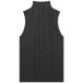 ץ꡼ ץ꡼ å ߥ䥱 (Pleats Please Issey Miyake) ǥ 󥯥ȥå ȥåץ Basics Pleats Roll Neck Vest (Black)