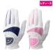 Callaway 2025 Callaway so Laile перчатка wi мужской 25 JM [ Golf женский перчатки Solaire Glove 25SS]