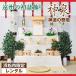  god .. person for .. the first tray decoration O-Bon decoration set rental festival . god Izumi 