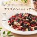 �h���C�t���[�c �~�b�N�X 1kg �J���_��낱�ԃ~�b�N�X �ۑ����s�g�p �t���[�c �u���[�ׁ[���[ �N�����x���[ ���[�Y�� ���̎� �N�R�̎� �Ђ܂��̎�