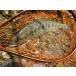 n-VISION �e���J���p�d�|��70mm 2�Z�b�g ��q�b�g���i 4911 �֘A�摜4
