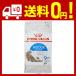  Royal kana nFHN in -дверный длинный (long) волосы - кошка для 2kg