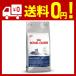  Royal kana nFHN Индия a+7 кошка для 1.5kg
