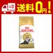  Royal kana nFBNperu автомобиль * шиншилла *himalayan для взрослой кошки 2kg