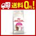  Royal kana nFHN Saber e расческа jento для взрослой кошки 4kg
