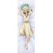 Dr.STONE.. внизу .. гладкий Dakimakura покрытие камень бог тысяч пустой [ предварительный заказ повторный .5 месяц последняя декада продажа предположительно ]