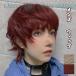  парик мужской повседневный wig природа маленький лицо симпатичный парик присоединение шерсть передний . костюмированная игра жаростойкий парик "дышит" выдающийся 