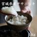 Miyagi префектура производство Sasanishiki 5kg. мир 7 год производство бесплатная доставка [LINE.. регистрация .50 иен OFF купон распространение средний ] редкий товар вид рис белый рис неочищенный рис белый рис 5kg×1 пакет неочищенный рис 5kg×1 пакет 