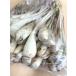 NEW Okinawa префектура производство остров rakkyou 500g * takkyubin (доставка на дом) ( рефрижератор ) подтвердите пожалуйста ..[ рефрижератор / стоимость доставки .]