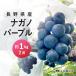  виноград nagano лиловый примерно 1kg / бесплатная доставка рефрижератор прохладный Nagano прямая поставка от производителя фрукты фрукты редкий товар вид вид нет 