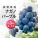  виноград nagano лиловый примерно 3kg / бесплатная доставка рефрижератор прохладный Nagano прямая поставка от производителя фрукты фрукты редкий товар вид вид нет 